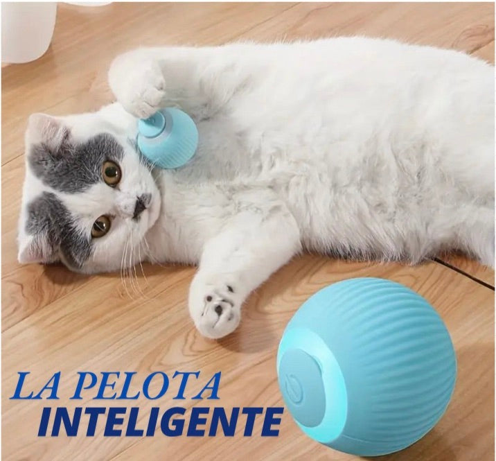 PELOTA INTELIGENTE SMARTYBALL®